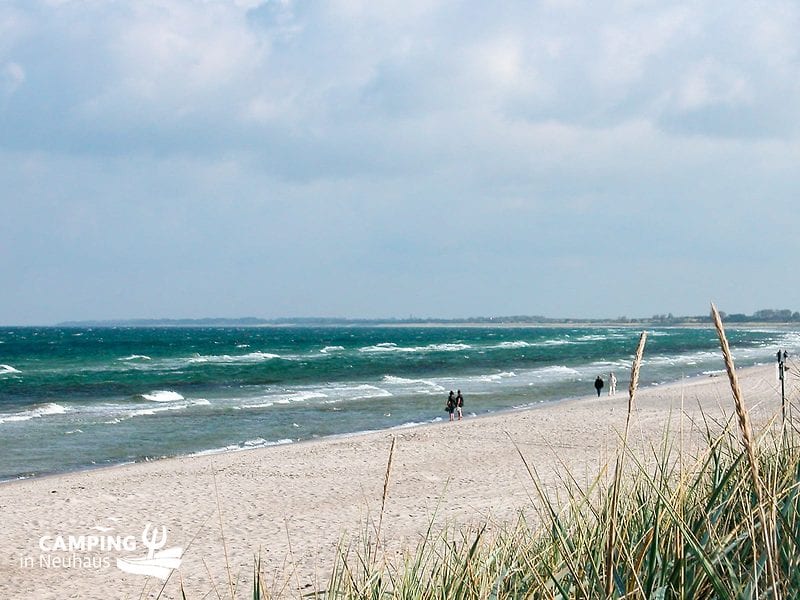 The beach at Neuhaus / Dierhagen in autumn